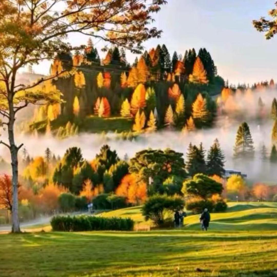 瑜政科技严选好货店