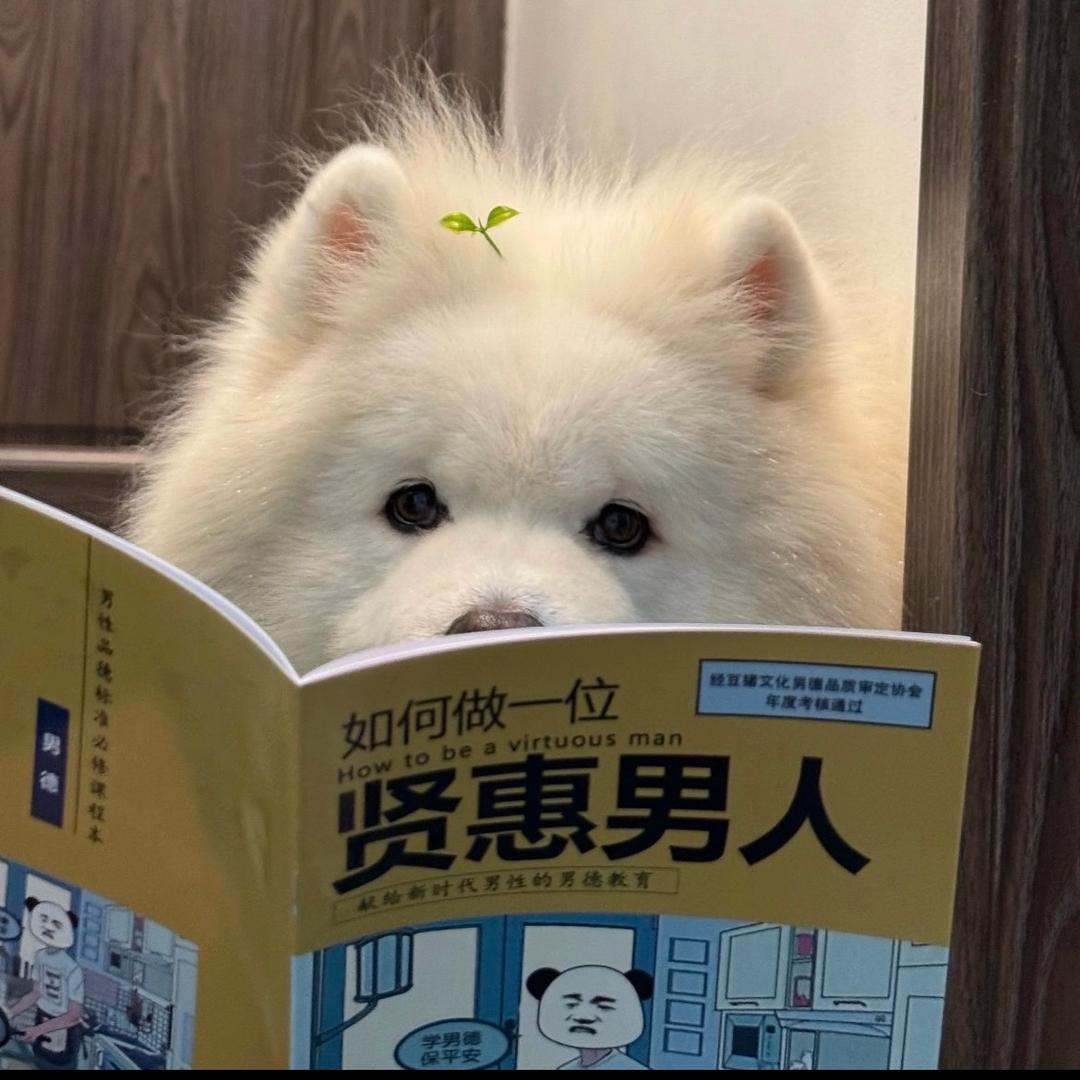 隔壁乐哥哥！