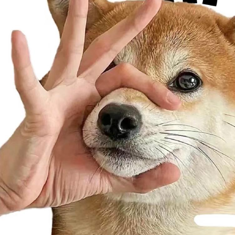 玲娜贝儿