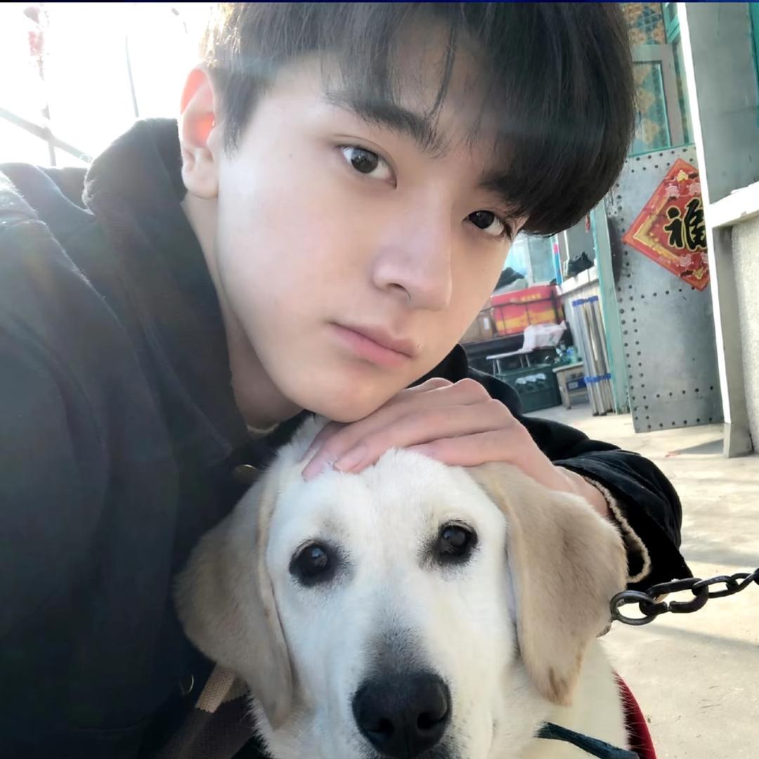 小迪