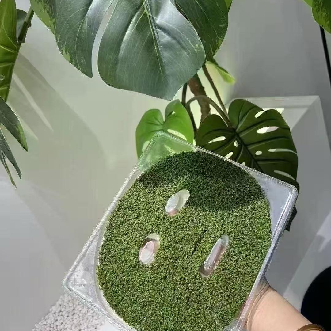 ☘️静姐美肤顾问