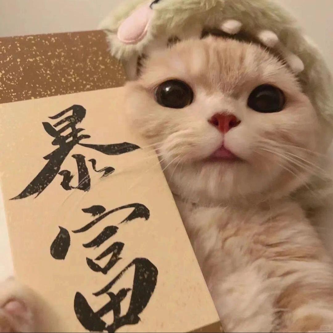 瑞芝百货