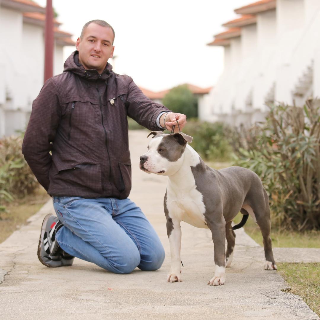 明珠斯塔福直播号