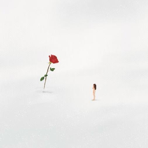 爱吃鱼香肉丝的美羊羊