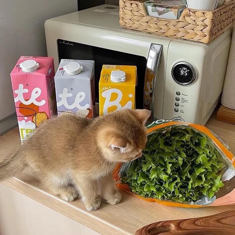 幺零六