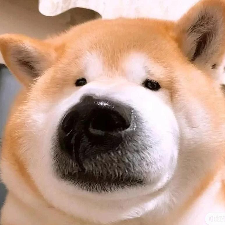 反戈一击