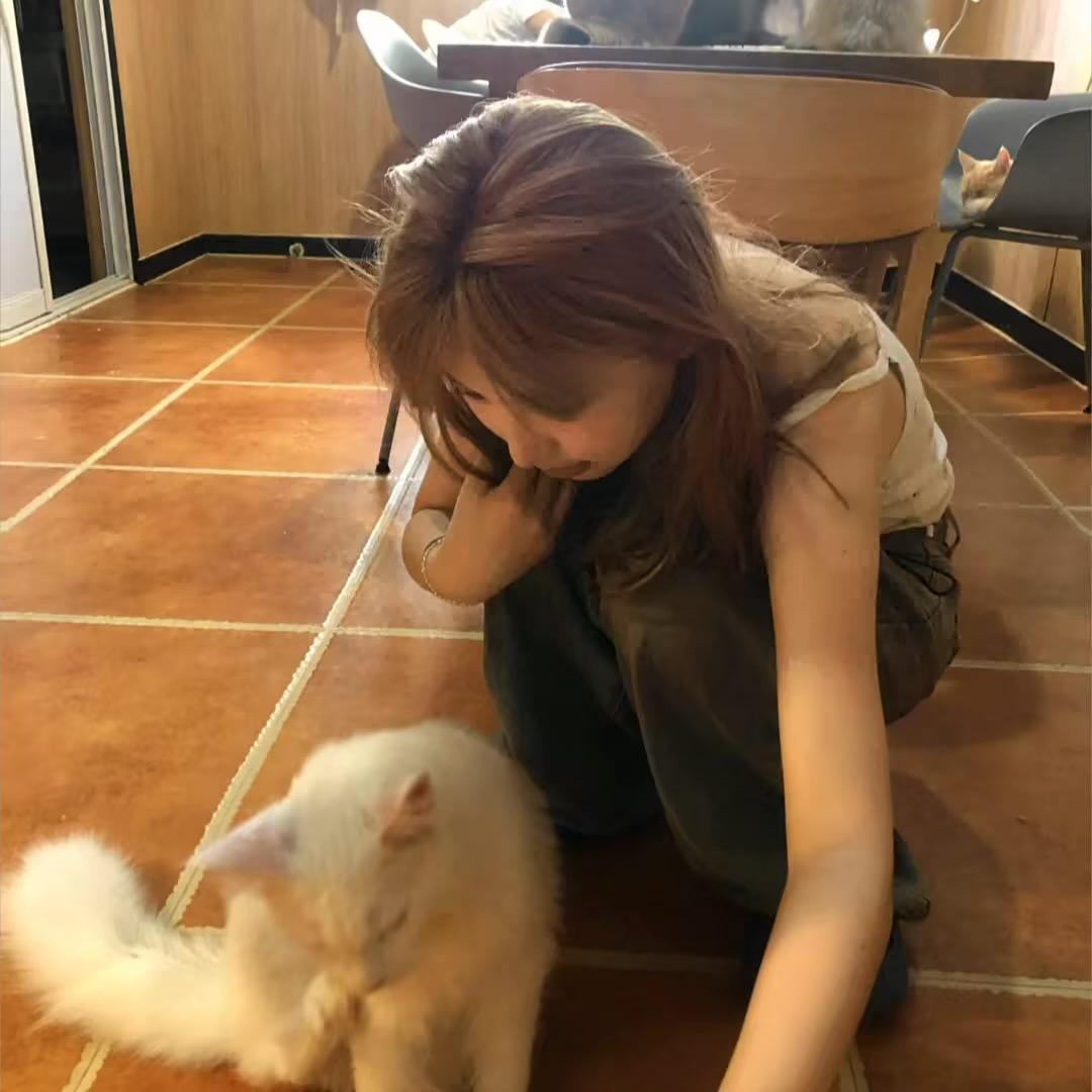 Lin.🌟