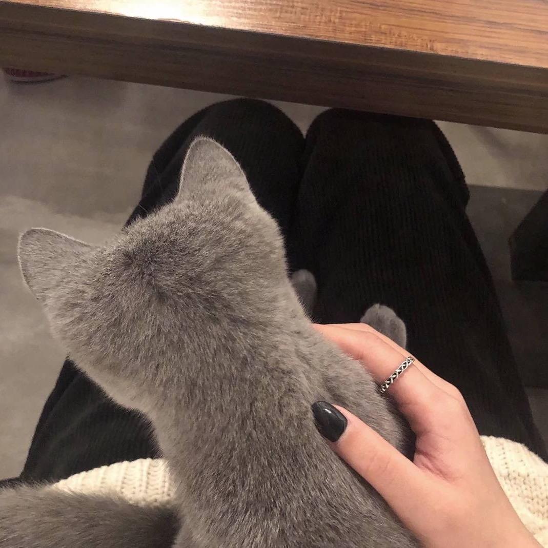 浪浪浪味仙女″