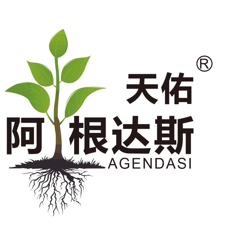 阿根达斯老黄