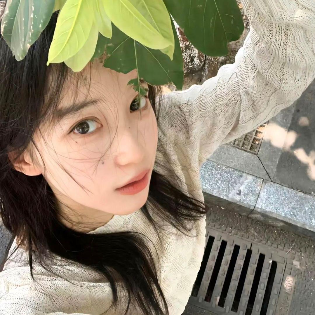 苹果糕