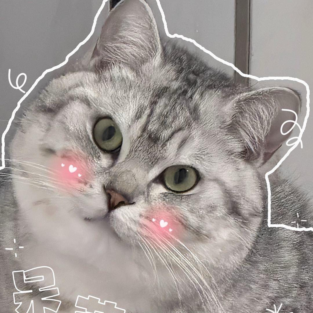 张伟吃饱饱💢