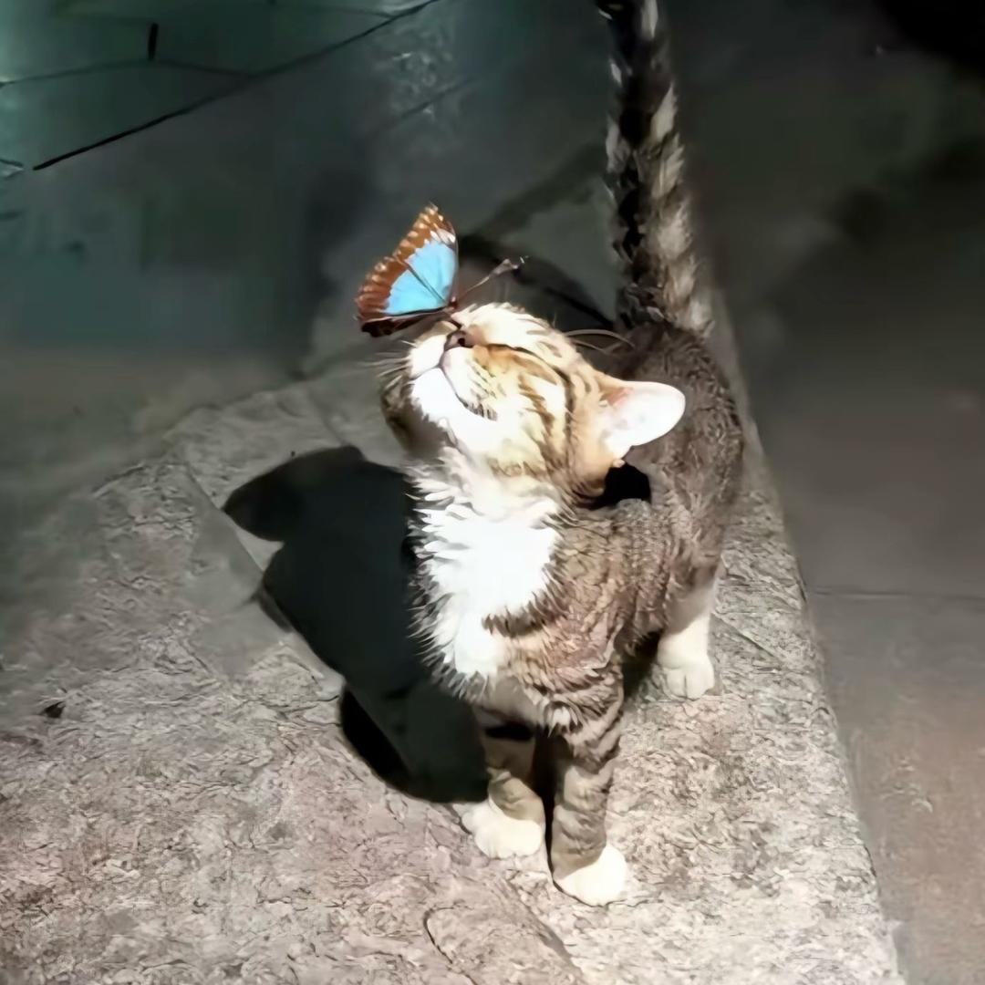 乐清