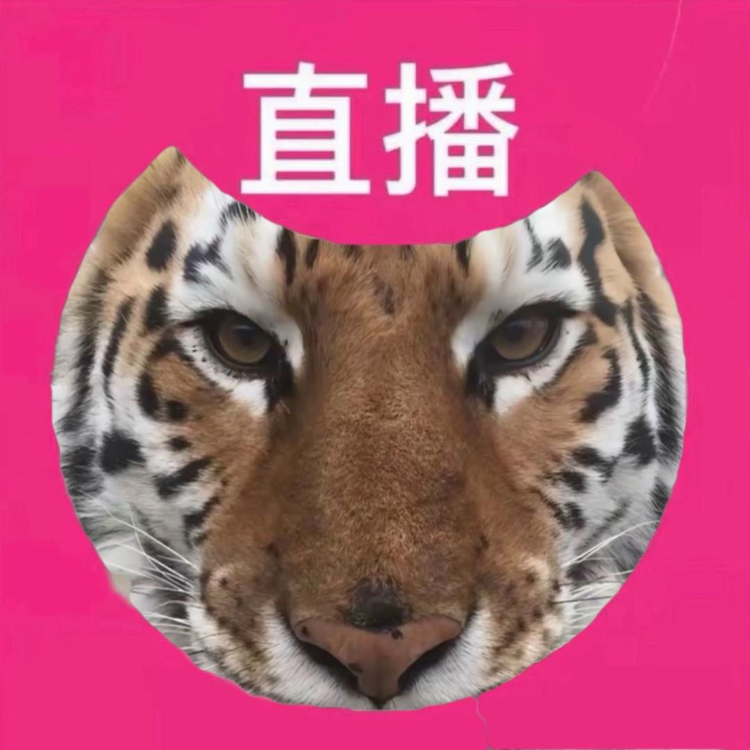 一只井底的蛙