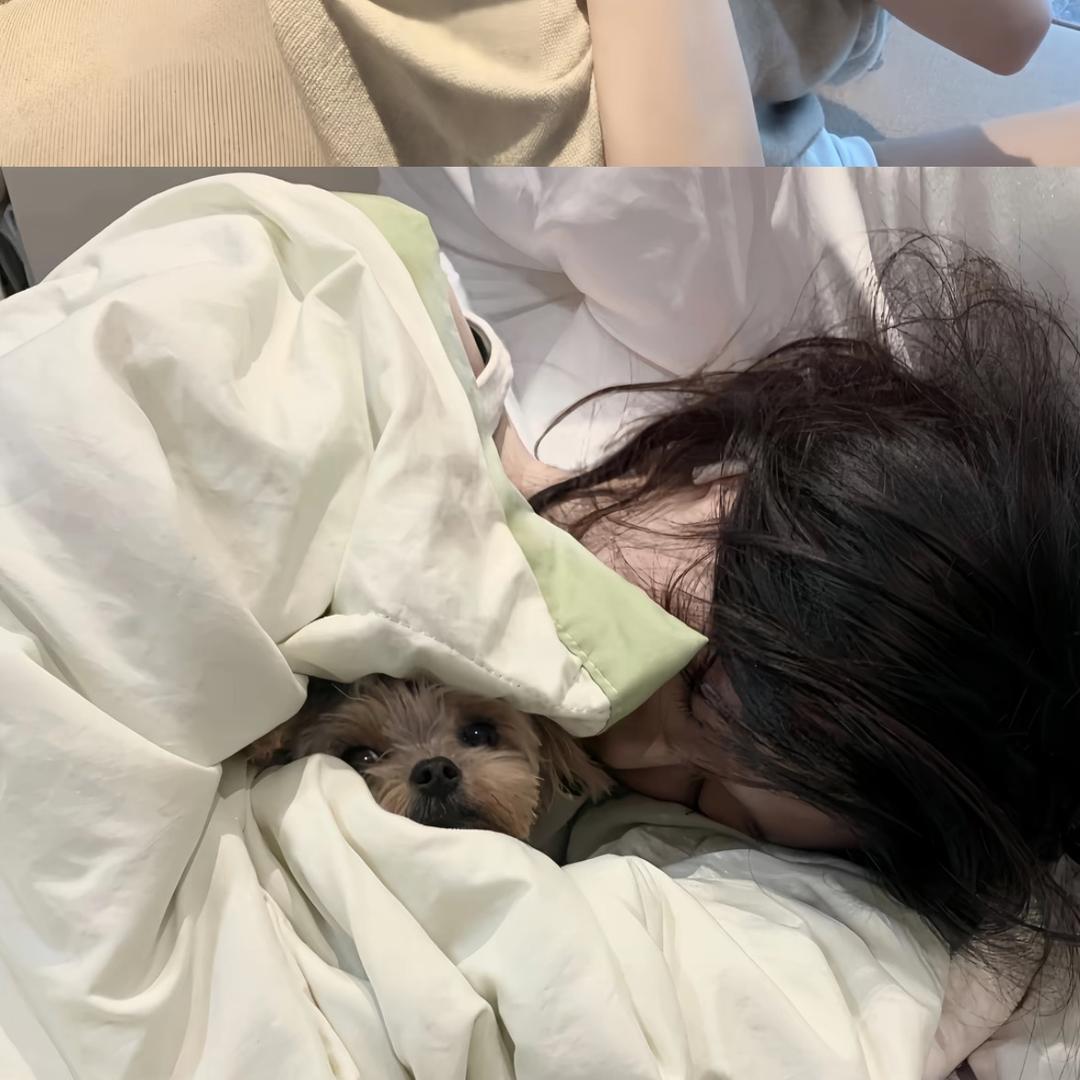 秋秋..