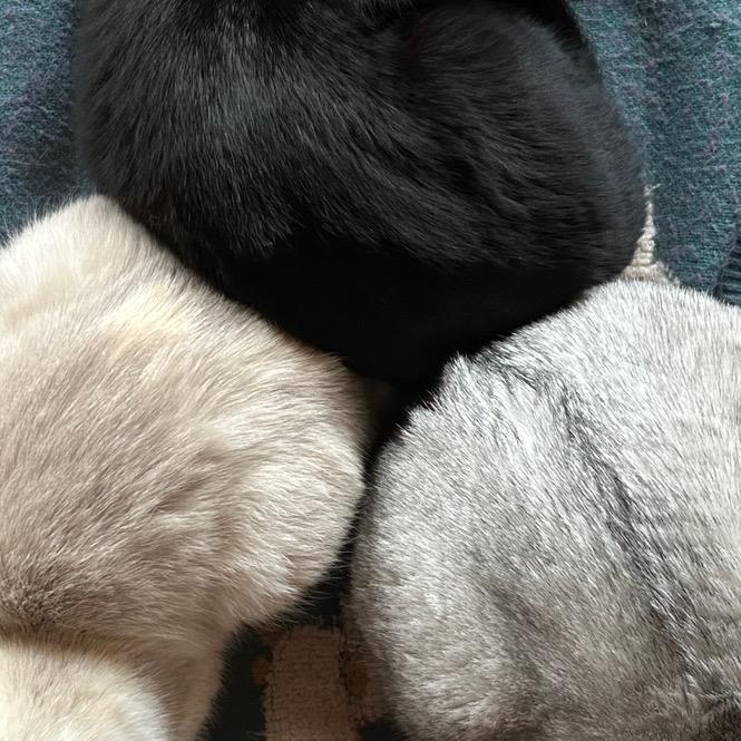 超级无敌炫酷螺旋爆炸升天菜