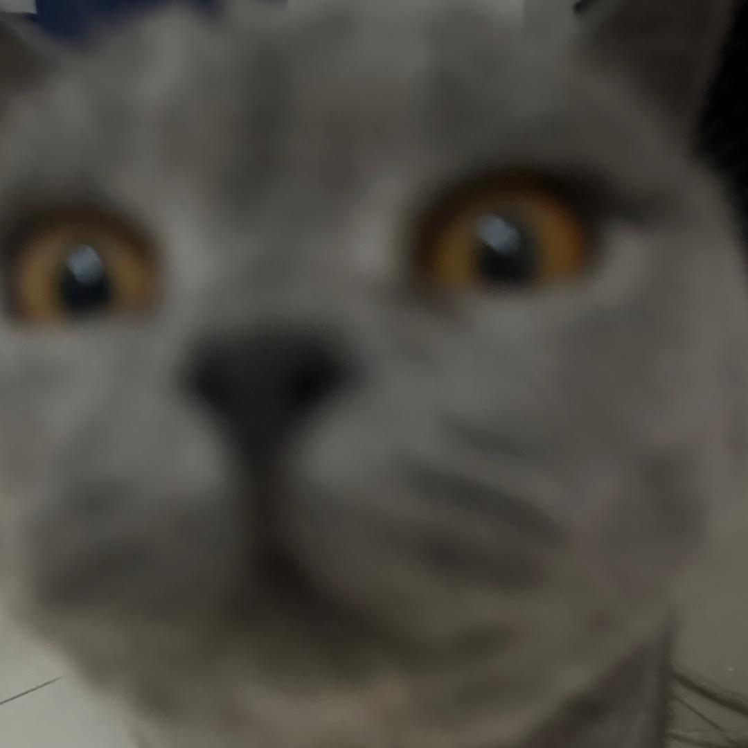 L4y2