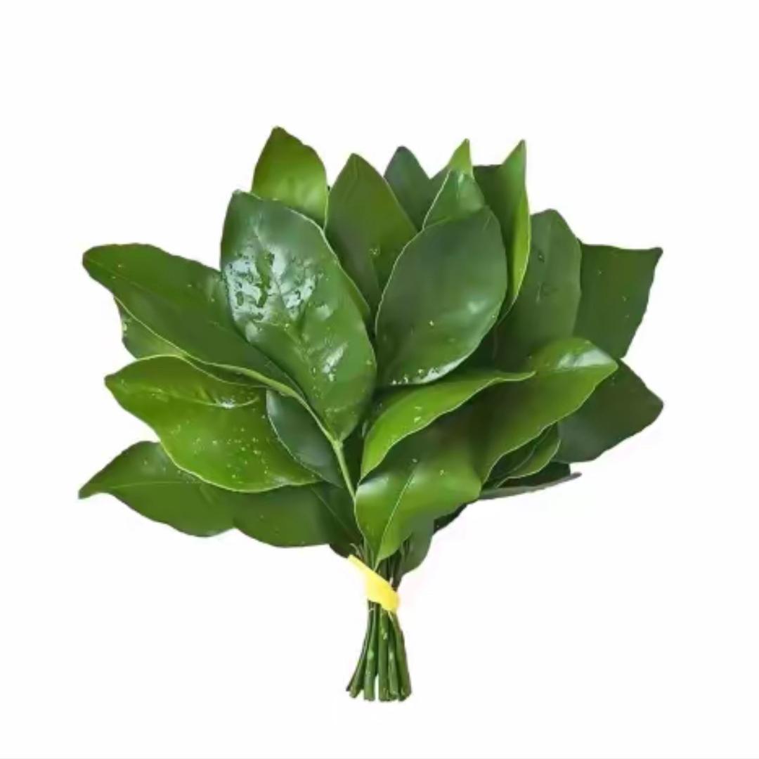 脸有亿点圆.