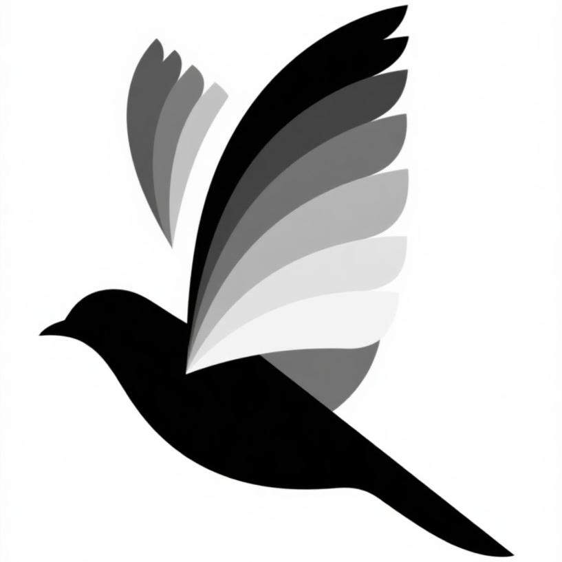 小白哥精选数码