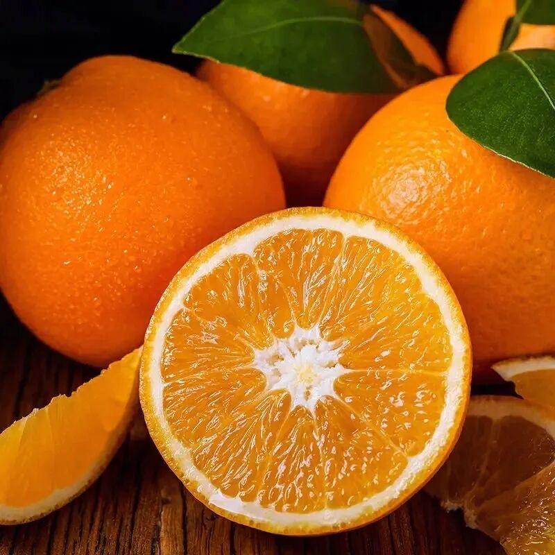 赣南脐橙