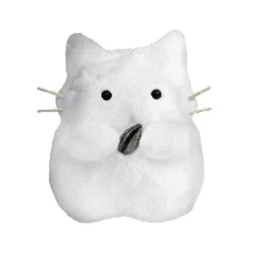 猫的岛