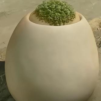 黄油苍蝇
