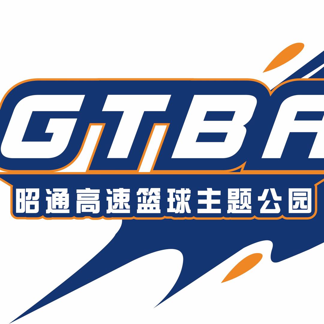 昭通高速篮球主题公园