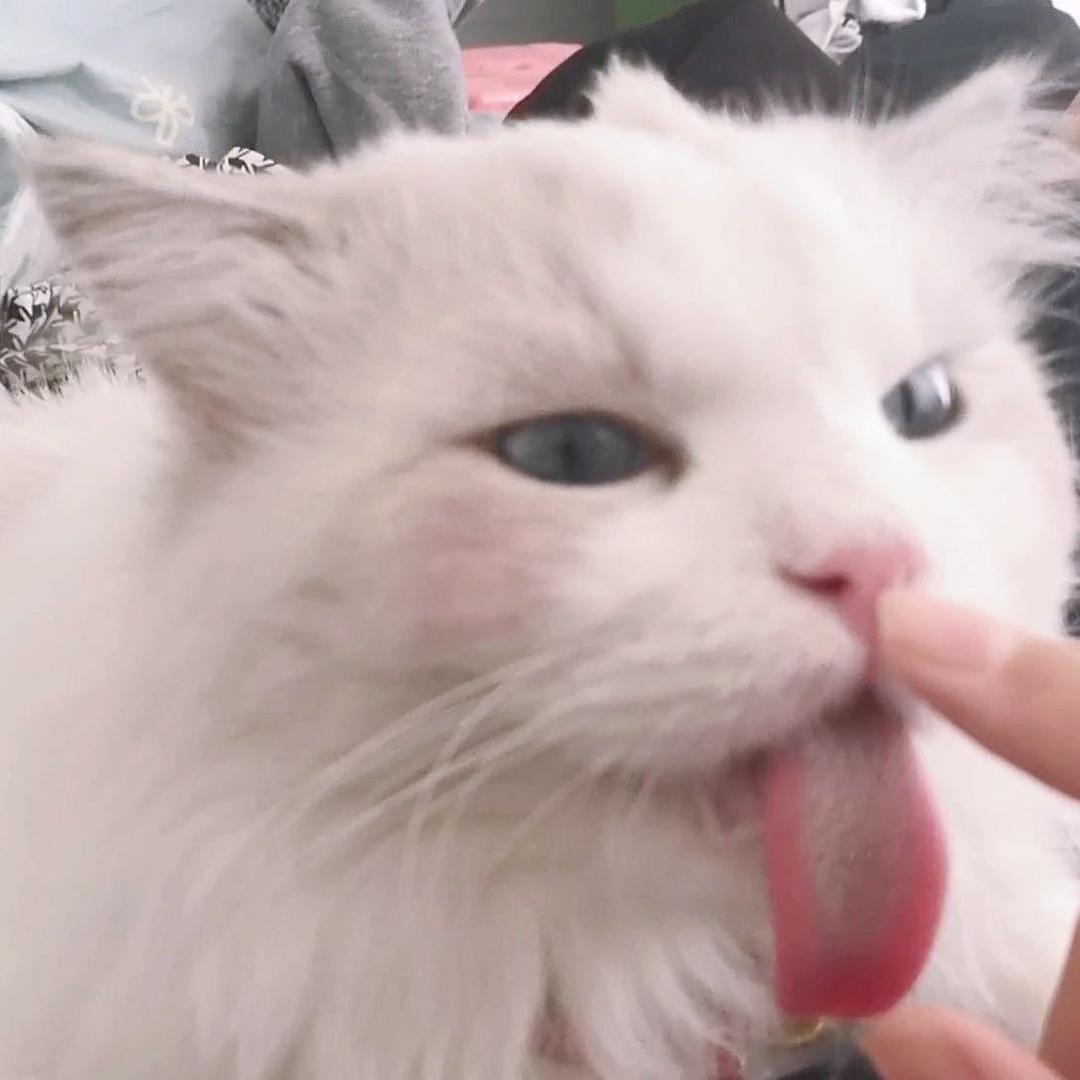 石头。
