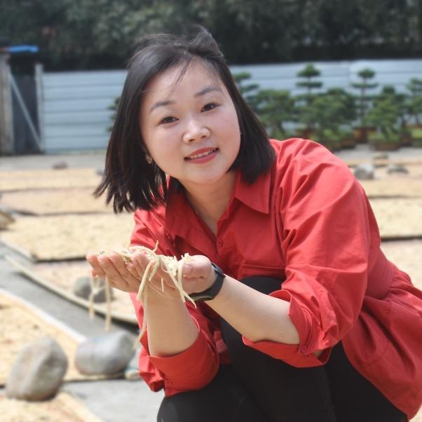 四明山美红