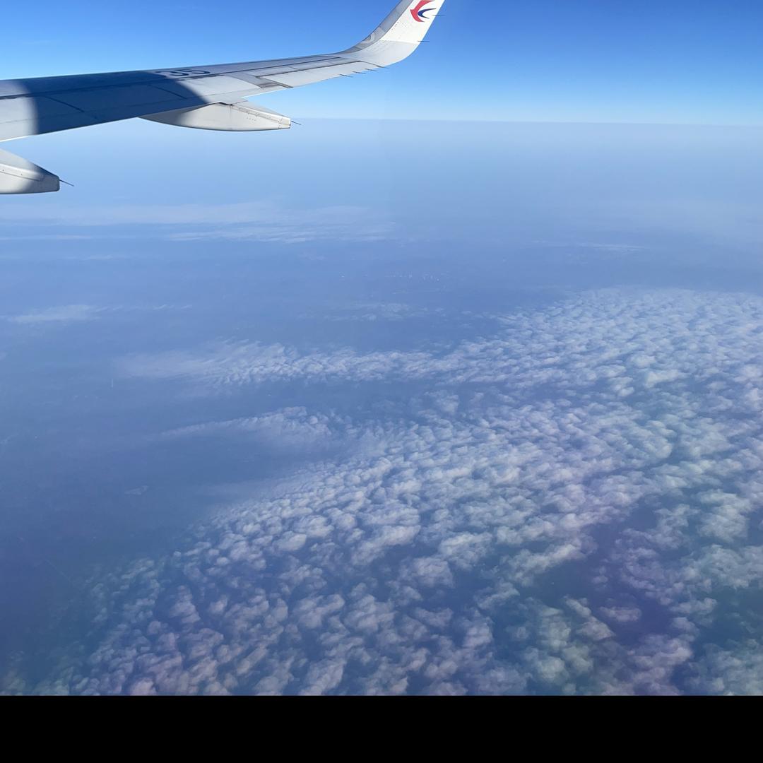 小土豆