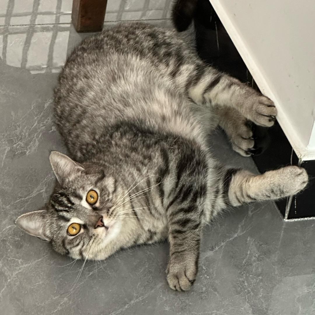 软组织内封闭术💉