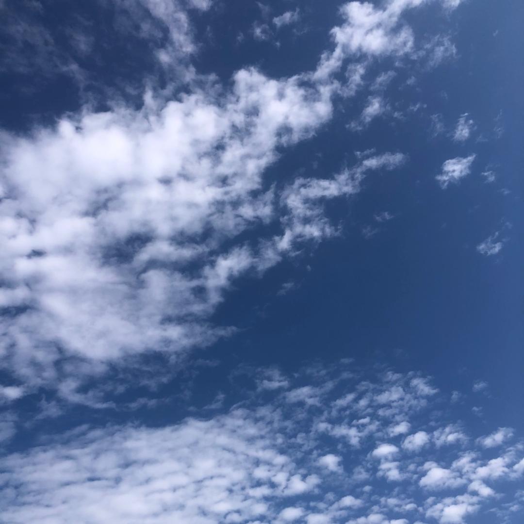 战狼🎤每晚6:40开播