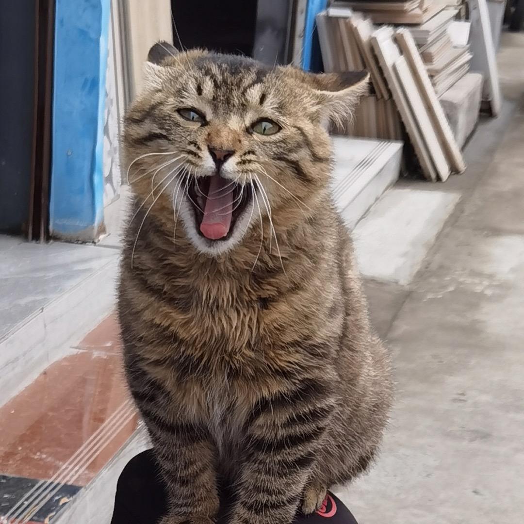 汉中订做隔断淋浴房