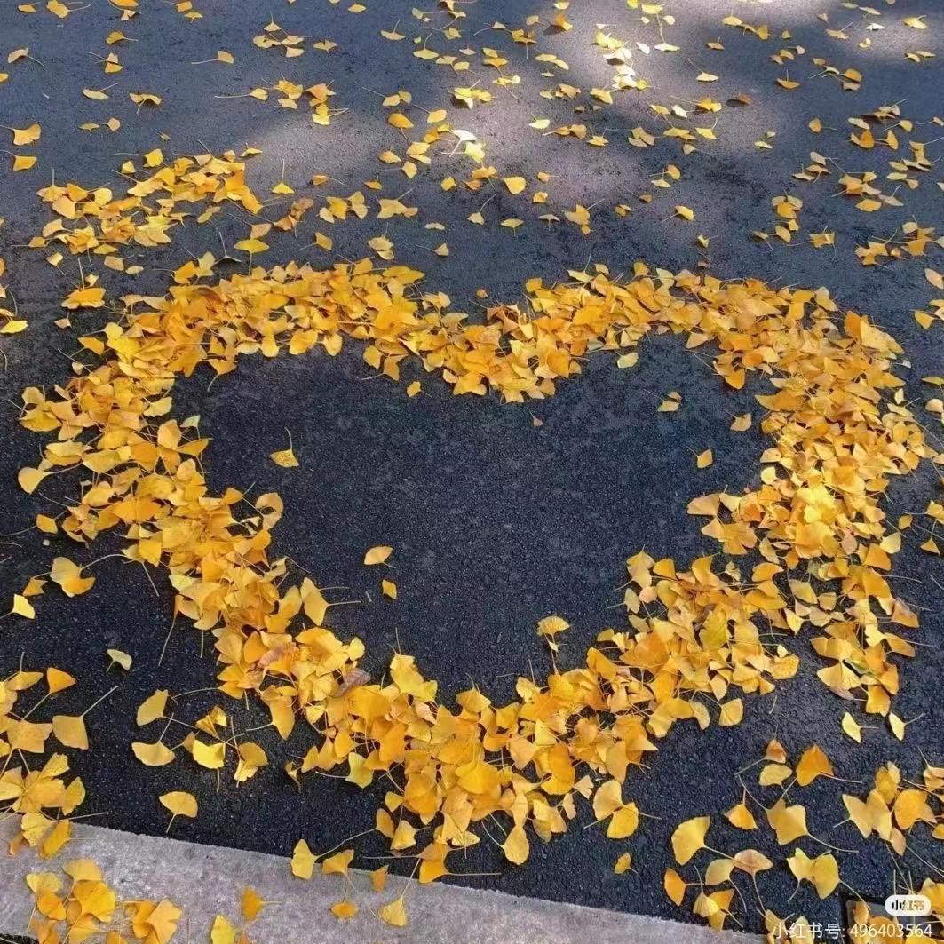 滋滋zizi🎀