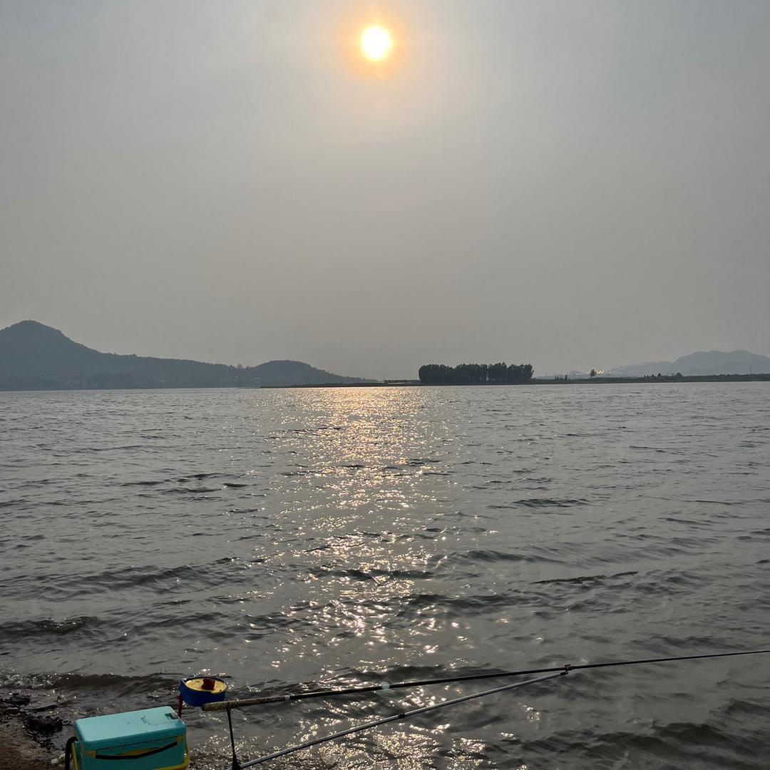 渔具羊毛小掌柜🎣