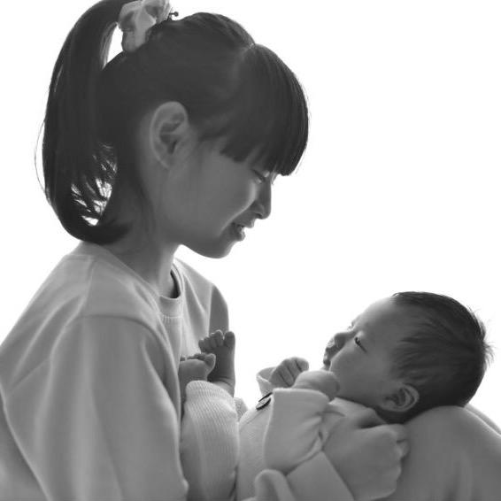 布丁&果冻