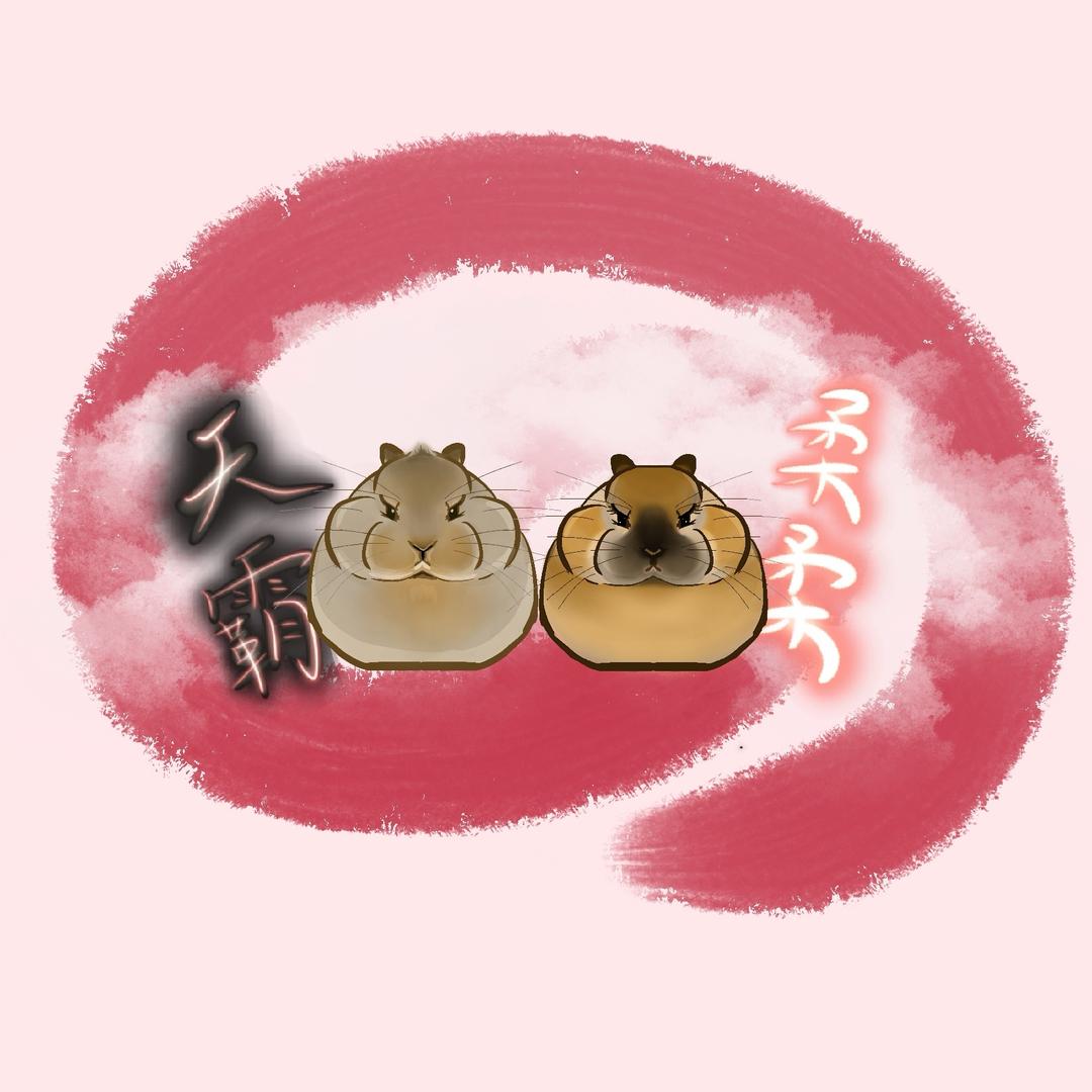 嘻宝xibo
