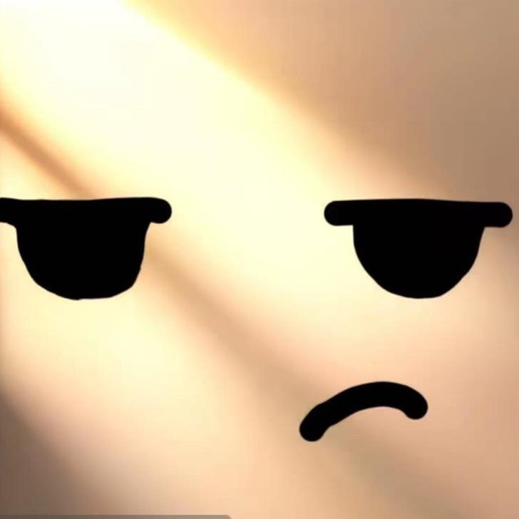 低熵体