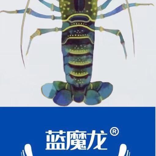 蓝魔龙（广东家禾种业）