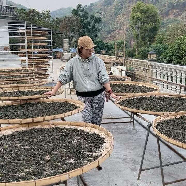 🍃茶叶子🍃