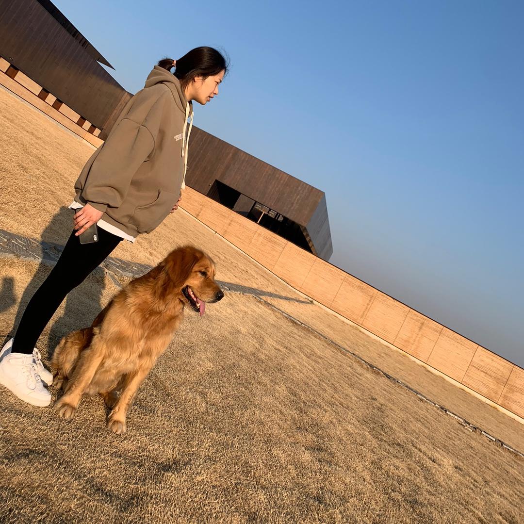 九月的狗头