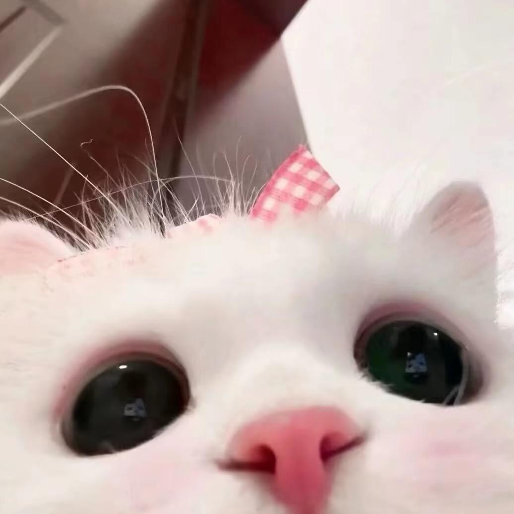 永远是多远.