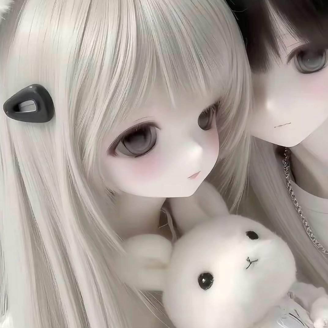 呆呆橪
