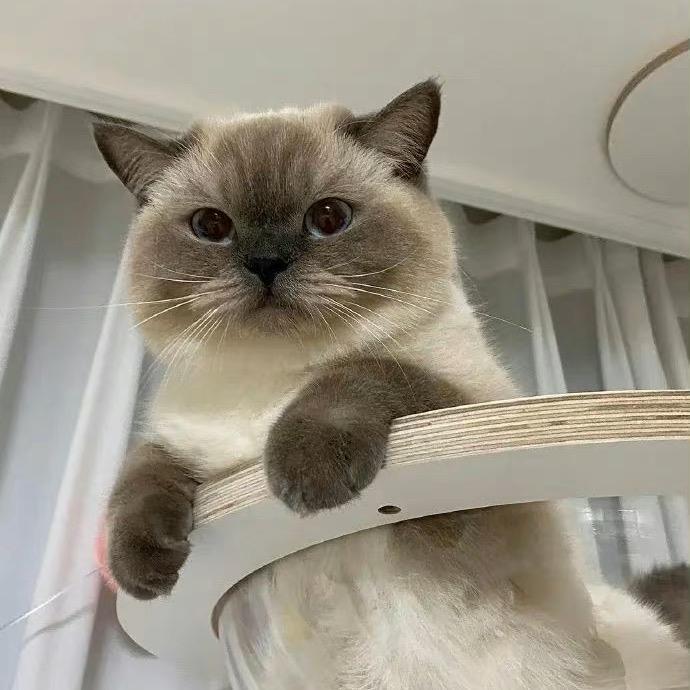 肯恰那