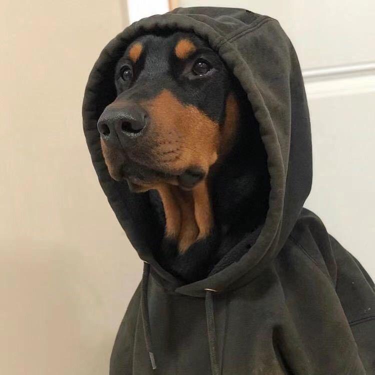 Hi_QvQ
