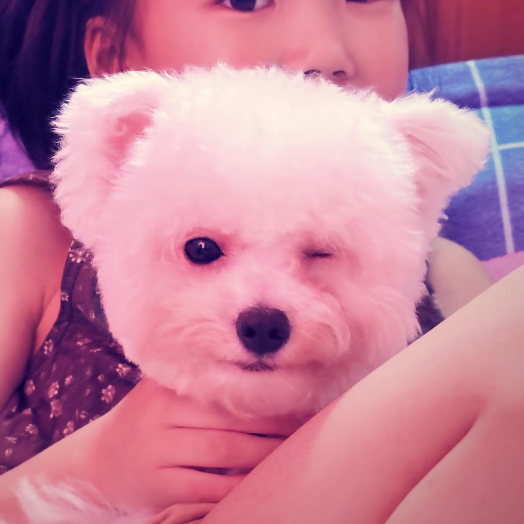 好运来啊