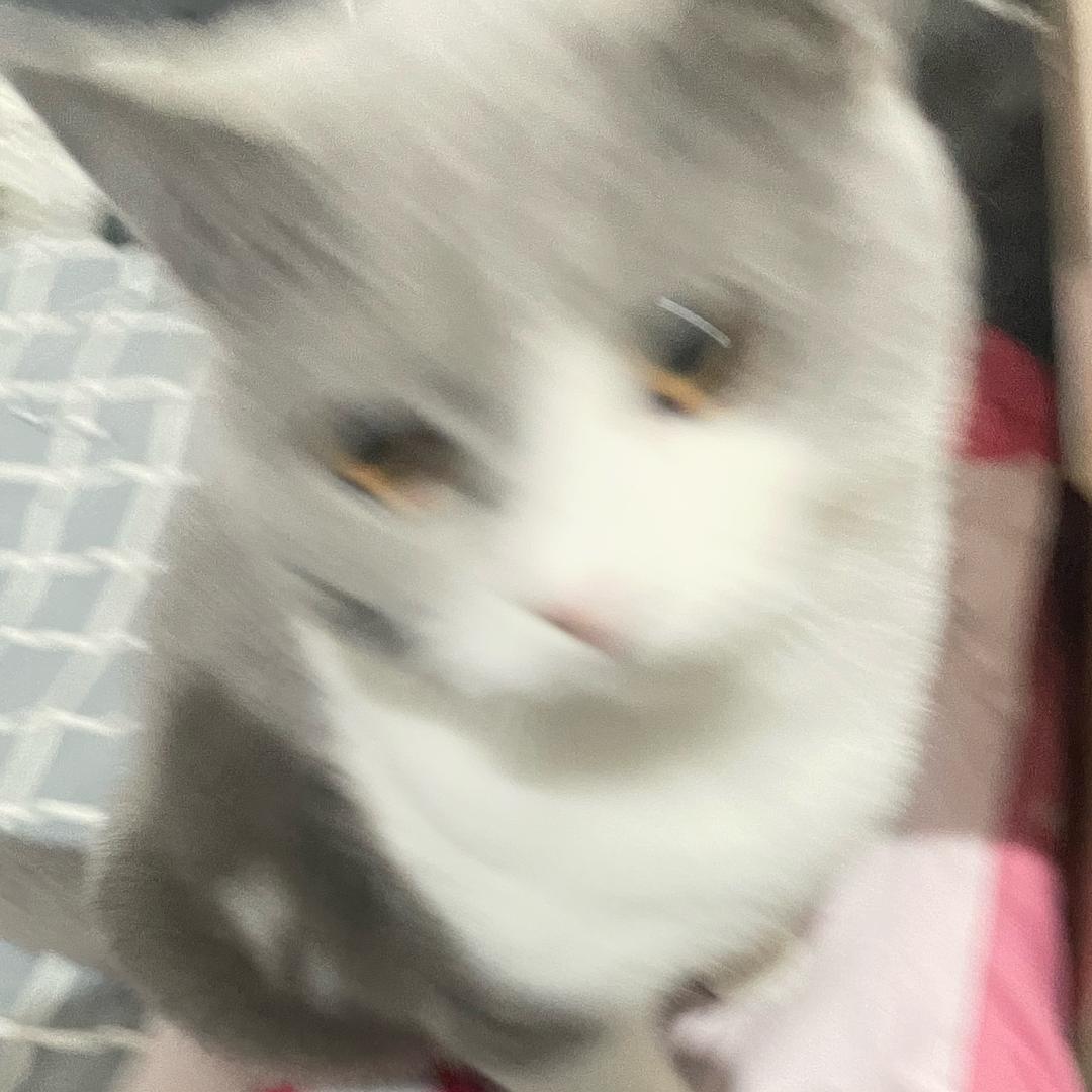 努力搬砖，我要买房。