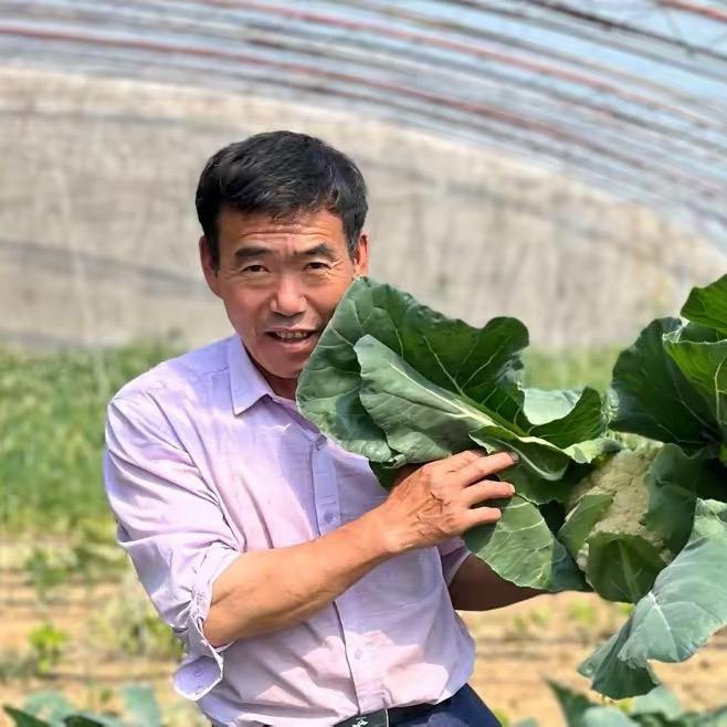 菜园大叔王红日