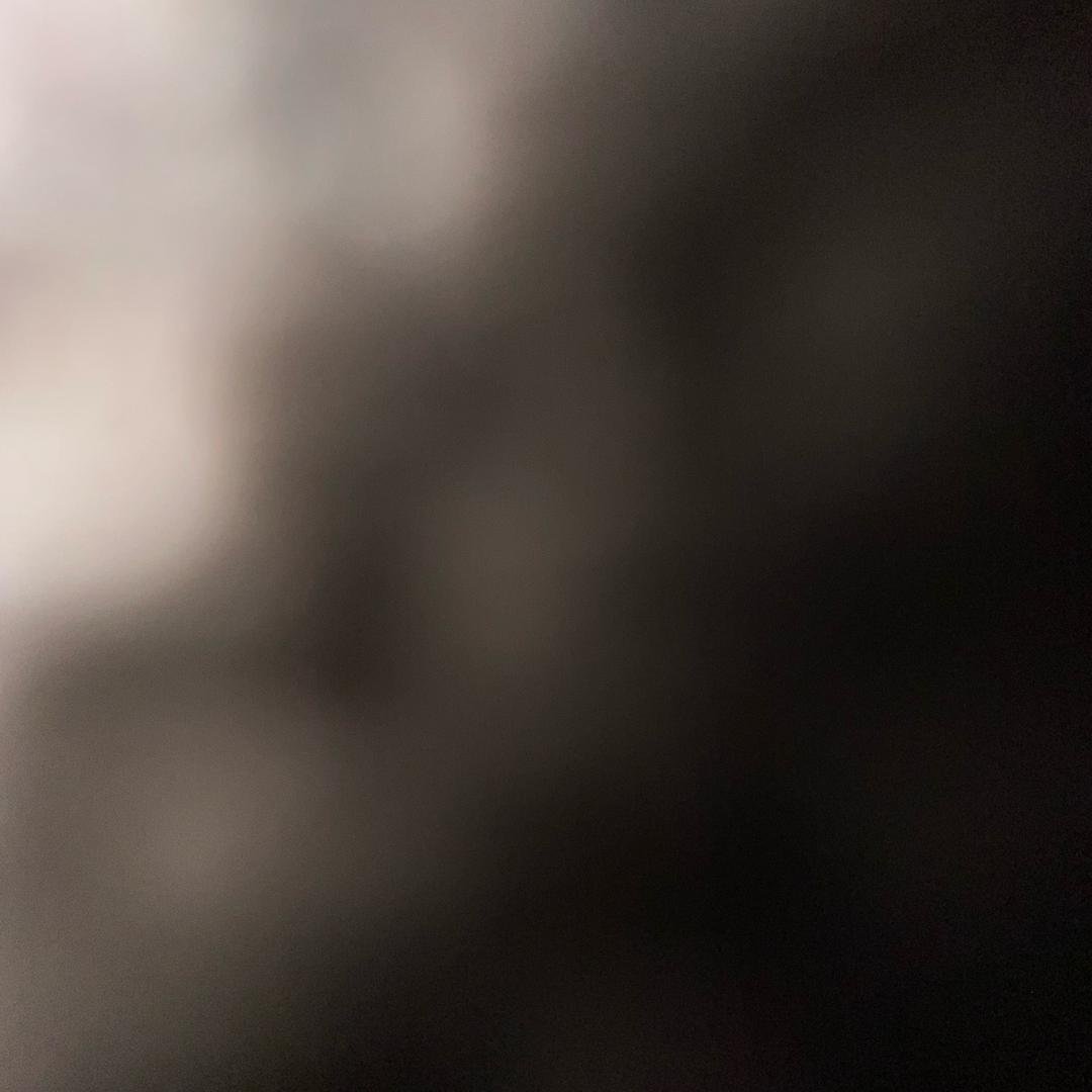 扬扬