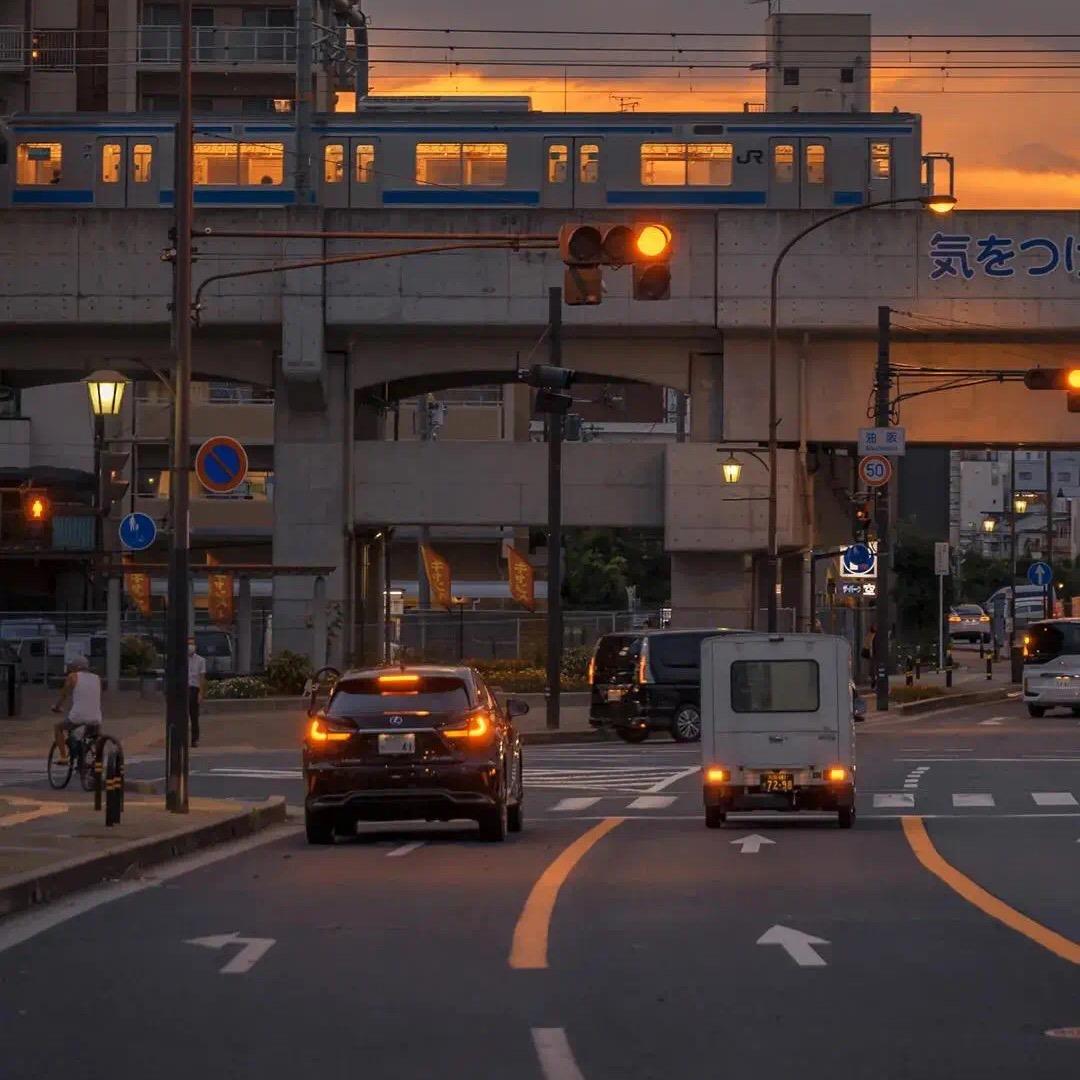 生命本来就没名字