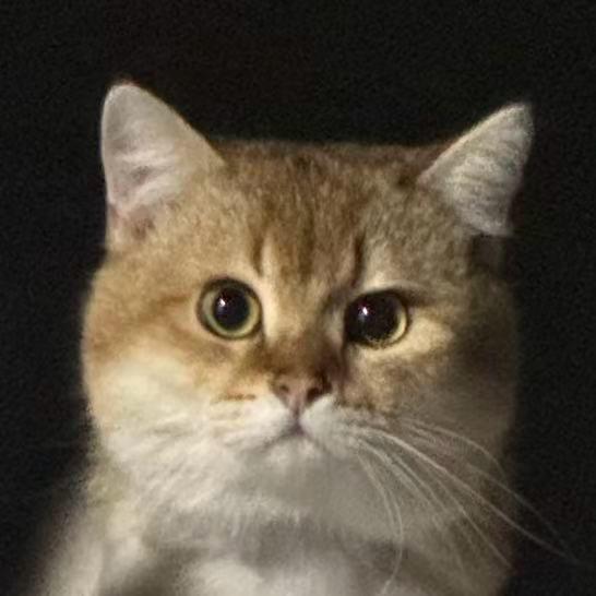 悻